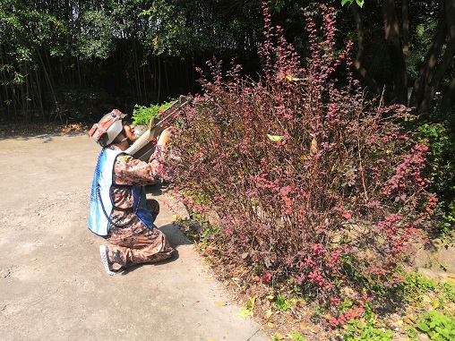 拓展训练 拓展训练